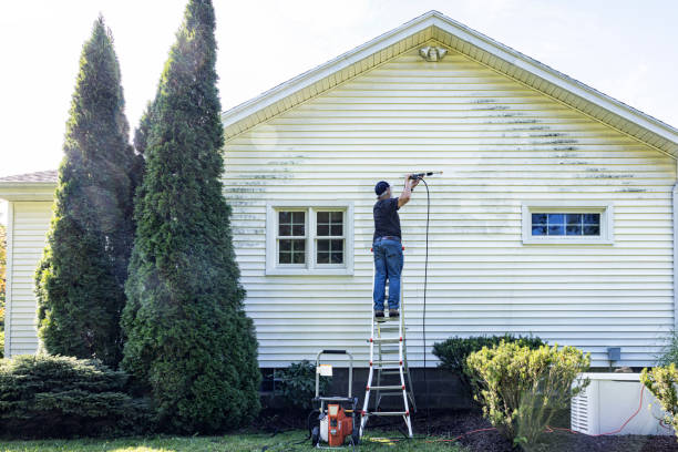 Best House Pressure Washing  in Napavine, WA