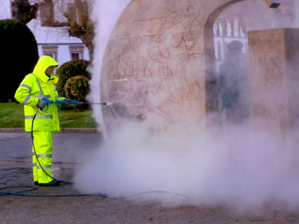 Best Local Pressure Washing Services  in Napavine, WA