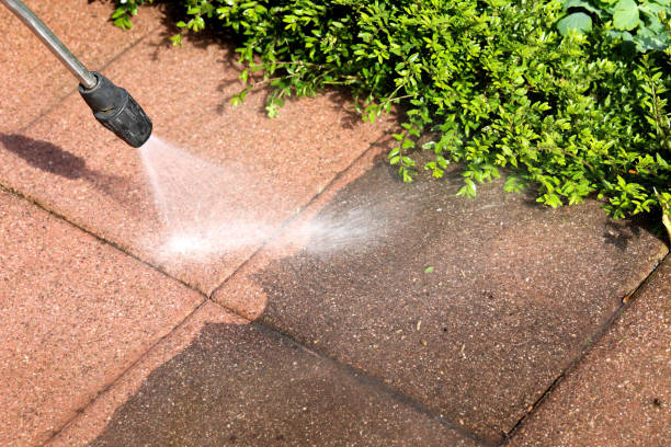 Professional Pressure Washing in Napavine, WA